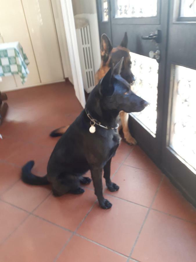 B&B Due Abeti Firenze Kültér fotó